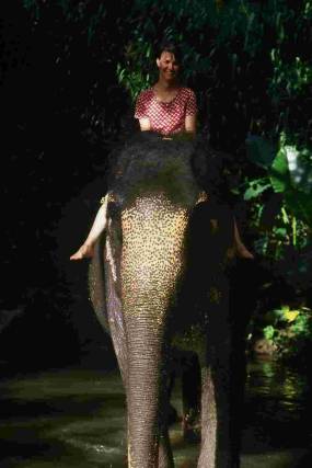 Elephant Orphange - Kandy - Photo T.Ansanay - 08/2002