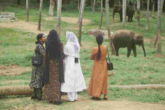 Elephant Orphanage - Kegale - Photo T.Ansanay - 08/2002